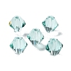 K9 Glass GLAA-R001-08-28-1