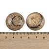 Natural Picture Jasper Cabochons G-H1596-FR-25mm-17-3