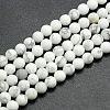 Frosted Howlite Round Bead Strands G-M064-14mm-12-1