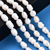 Natural Cultured Freshwater Pearl Beads Strands PEAR-N012-06R-6