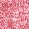 6/0 Glass Seed Beads X-SEED-A015-4mm-2204-2