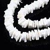 Natural White Shell Beads Strands X-SSHEL-S266-029-3