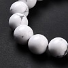 Synthetic Howlite Beads Strands G-E568-04C-3