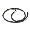 Dyed Natural Freshwater Shell Beads Strands BSHE-G039-07M-2