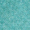 11/0 Grade A Round Glass Seed Beads SEED-N001-E-318-2