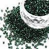 Glass Bugle Beads SEED-S032-08A-53A-1