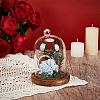 Arch Glass Dome Cover AJEW-WH0481-606D-4