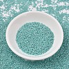 MIYUKI Delica Beads SEED-X0054-DB1567-2