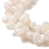 Natural Freshwater Beads Strands SHEL-K006-36-3