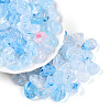 Transparent Acrylic Beads TACR-T028-44H-1