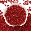 Glass Seed Beads SEED-L011-02A-03-2