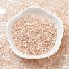 Imitation Cat Eyes Glass Seed Beads SEED-H003-03G-2