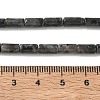 Natural Larvikite Beads Strands G-B091-A20-01-3