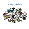 20Pcs 303 Stainless Steel Rhinestone Charms STAS-YW0001-17-2