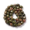 Natural Unakite Beads Strands G-G146-A14-01-3