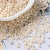 Baking Paint Glass Seed Beads SEED-S042-15A-02-1