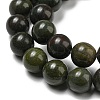 Natural African Green Autumn Jasper Beads Strands G-R494-A19-03-3