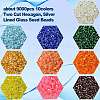 100G 10 Clors TOHO Japanese Seed Beads SEED-YW0002-46-3