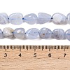 Nautral Blue Lace Agate Beads Strands G-H330-A01-5