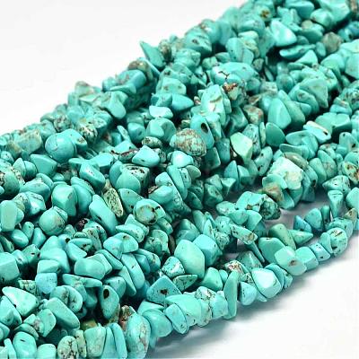 Dyed Natural Magnesite Chips Beads Strands G-L454-06-1