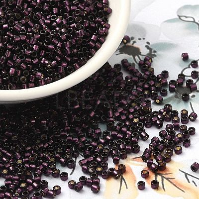 Glass Seed Beads X-SEED-S042-04B-30-1
