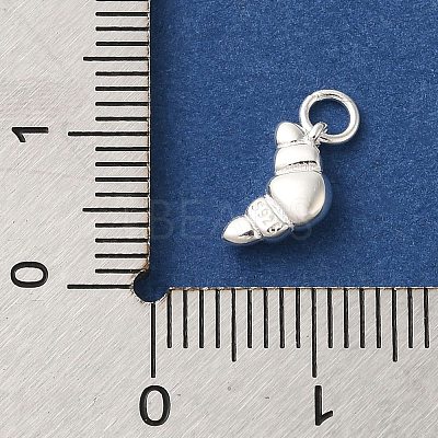 925 Sterling Silver Imitation Food Charms FIND-U013-11S-01-1