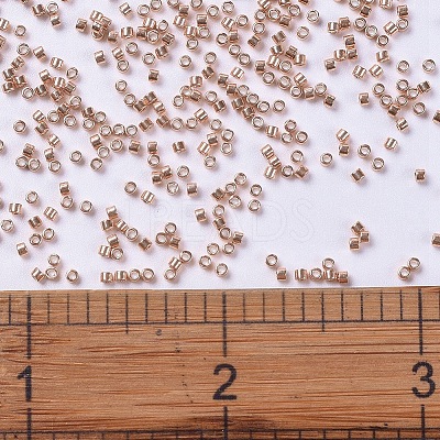 MIYUKI Delica Beads SEED-MY11-DB0434-1