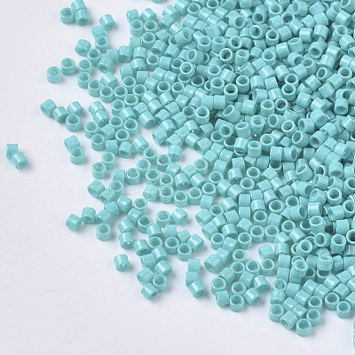 FGB 11/0 Grade A Glass Seed Beads X-SEED-S030-0729-1