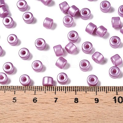 Baking Paint Pearlized Glass Seed Beads SEED-T008-03L-1