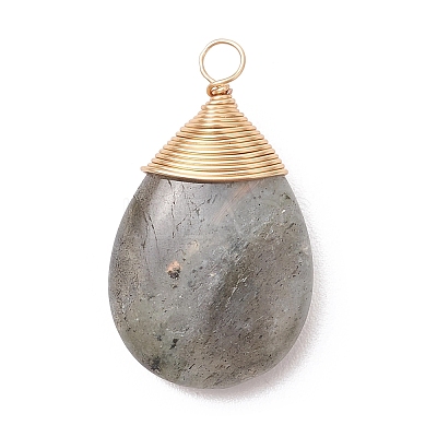 Natural Labradorite Pendants PALLOY-JF05086-02-1