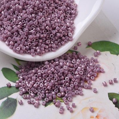 MIYUKI Delica Beads X-SEED-J020-DB0253-1