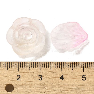 Transparent Acrylic Beads OACR-H039-04D-1