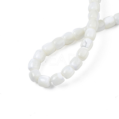 Natural Trochid Shell/Trochus Shell Beads Strands SSHEL-N034-121-B01-1