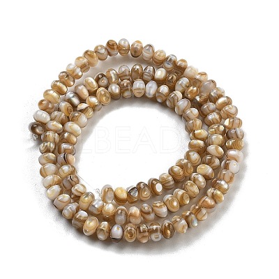 Natural Freshwater Shell Beads Strands X-BSHE-G038-05-1