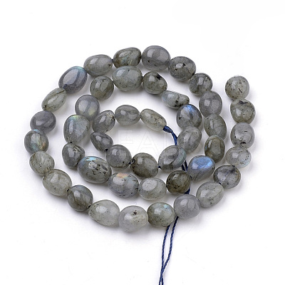 Natural Labradorite Beads Strands G-Q952-12-6x8-1
