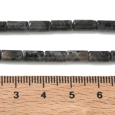 Natural Larvikite Beads Strands G-B091-A20-01-1