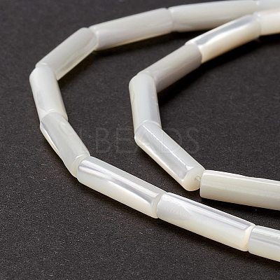 Natural Trochid Shell/Trochus Shell Beads SSHEL-O001-26B-1