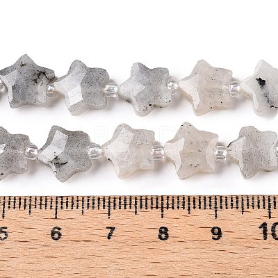 Natural Grey Labradorite Beads Strands G-T138-184-1