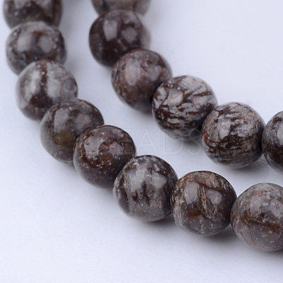 Natural Snowflake Obsidian Beads Strands X-G-Q462-8mm-37-1