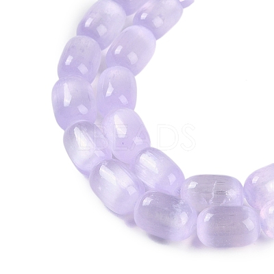 Natural Selenite Beads Strands G-F750-19-1