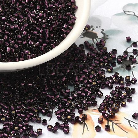 Glass Seed Beads X-SEED-S042-04B-30-1