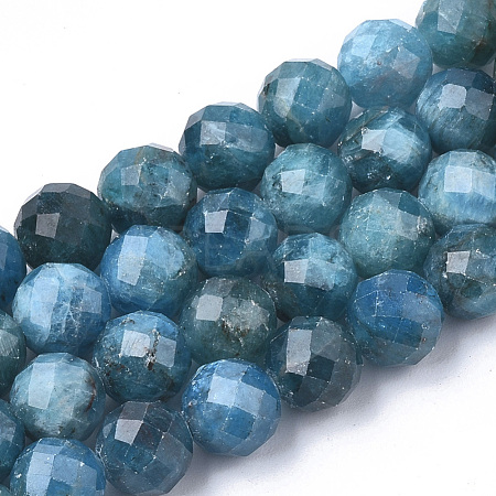 Natural Apatite Beads Strands G-S345-10mm-008-1