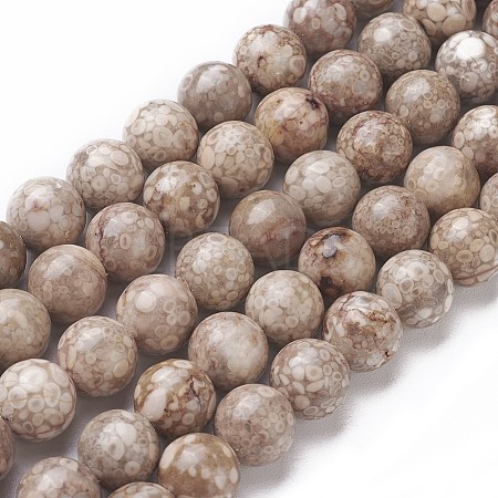 Natural Fossil Coral Beads Strands G-F563-02-8mm-1