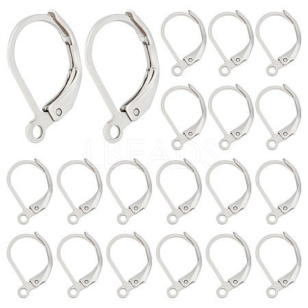 Beebeecraft 200Pcs 304 Stainless Steel Leverback Earring Findings STAS-BBC0004-15-1