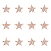 SUPERFINDINGS 12Pcs Star Brooch Pin JEWB-FH0001-43-1