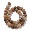 Natural Weathered Agate Beads Strands G-P538-A01-06-3
