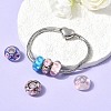 Handmade Lampwork European Beads LAMP-S193-004-M-4