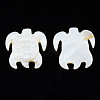 Natural Freshwater Shell Cabochons SHEL-S276-163-3