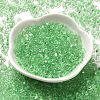 Glass Seed Beads SEED-K009-08B-07-2