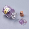 Bottles of Natural Gemstone Chip Beads G-S049-2-B-2